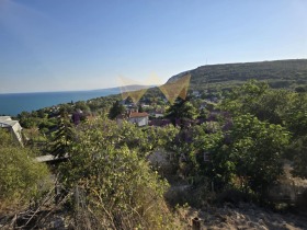 ����� ������� ������,��. ������, ������ ������