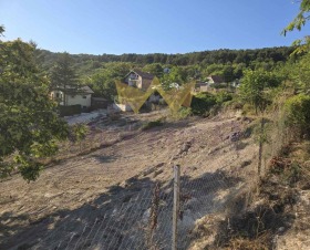 ����� ������� ������,��. ������, ������ ������