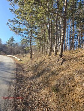 ������� ������ | Imot.bg � ����� ������ 7