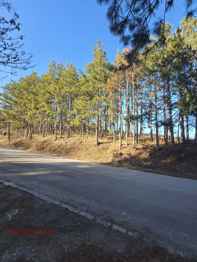 ����� ������� ������,���� �����, �. ���������