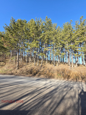 ������ ������� ������