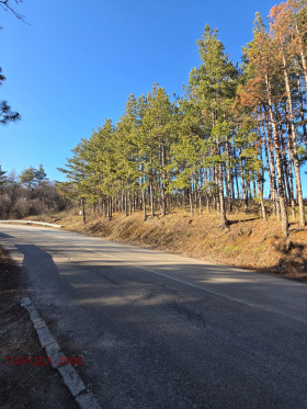 ����� ������� ������,���� �����, �. ���������>