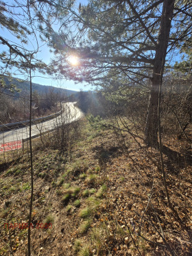 ������� ������ | Imot.bg � ����� ������ 8