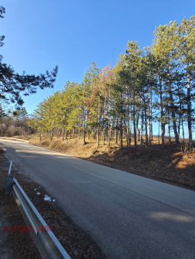 ������� ������ | Imot.bg � ����� ������ 5