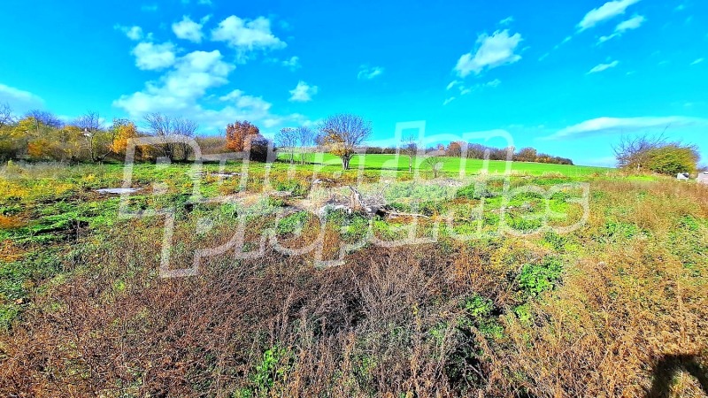 Продава ПАРЦЕЛ, с. Златна ливада, област Стара Загора, снимка 6 - Парцели - 52876339