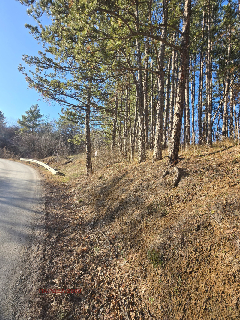 Продава ПАРЦЕЛ, гр. София, с. Панчарево, снимка 6 - Парцели - 53255414