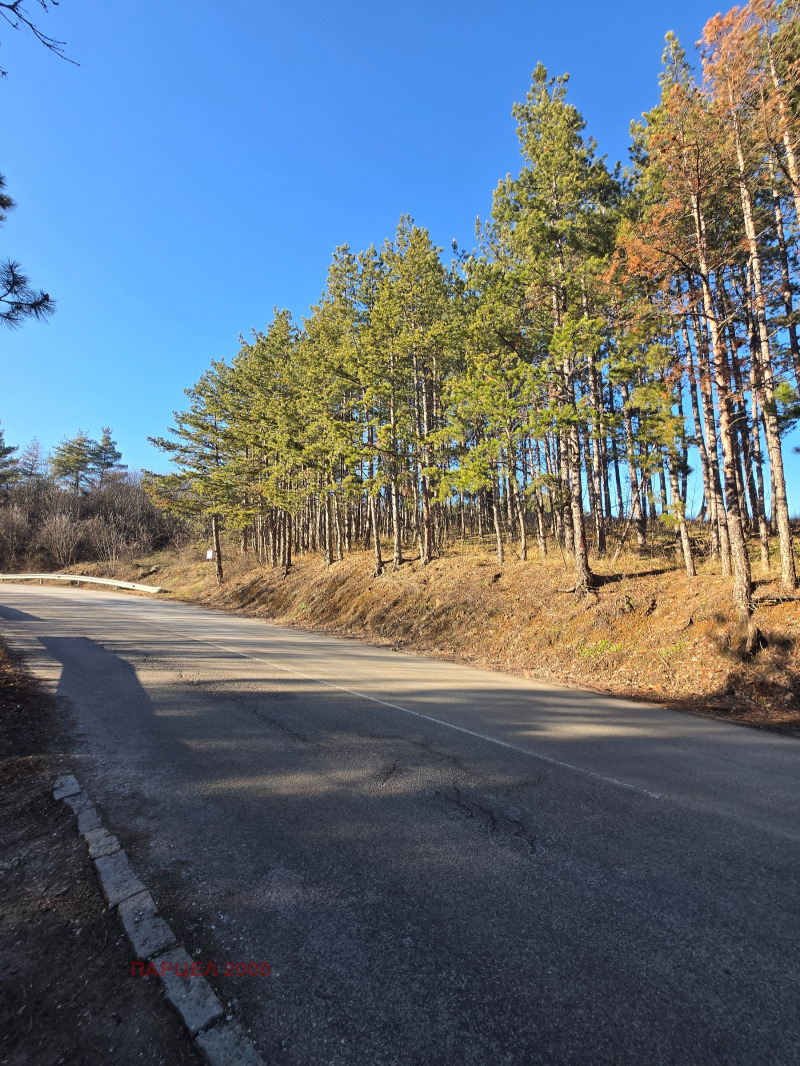 Продава ПАРЦЕЛ, гр. София, с. Панчарево, снимка 3 - Парцели - 53255414