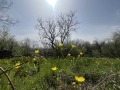 Продава КЪЩА, област Габрово, с. Карали • 30000 € / 58674.90 лв. • 69478462 1