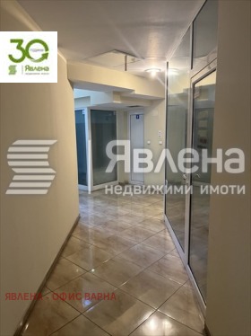 ����� ������� ����,���� �����, ������