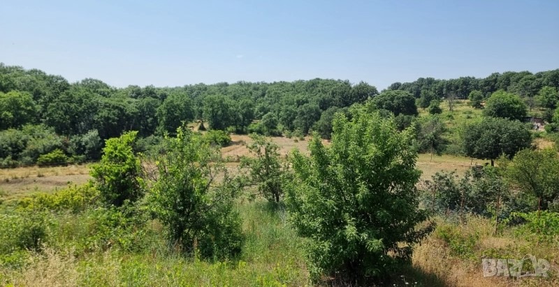 Продава ПАРЦЕЛ, гр. Димитровград, област Хасково, снимка 3 - Парцели - 52152202