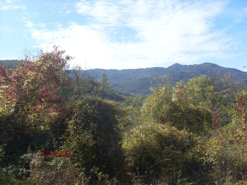 ������� ���� | Imot.bg � ����������� 7