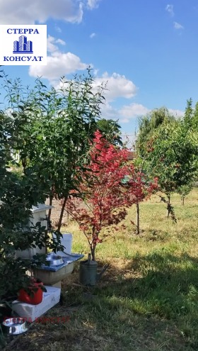 ������� ������ | Imot.bg � ����� ������ 9