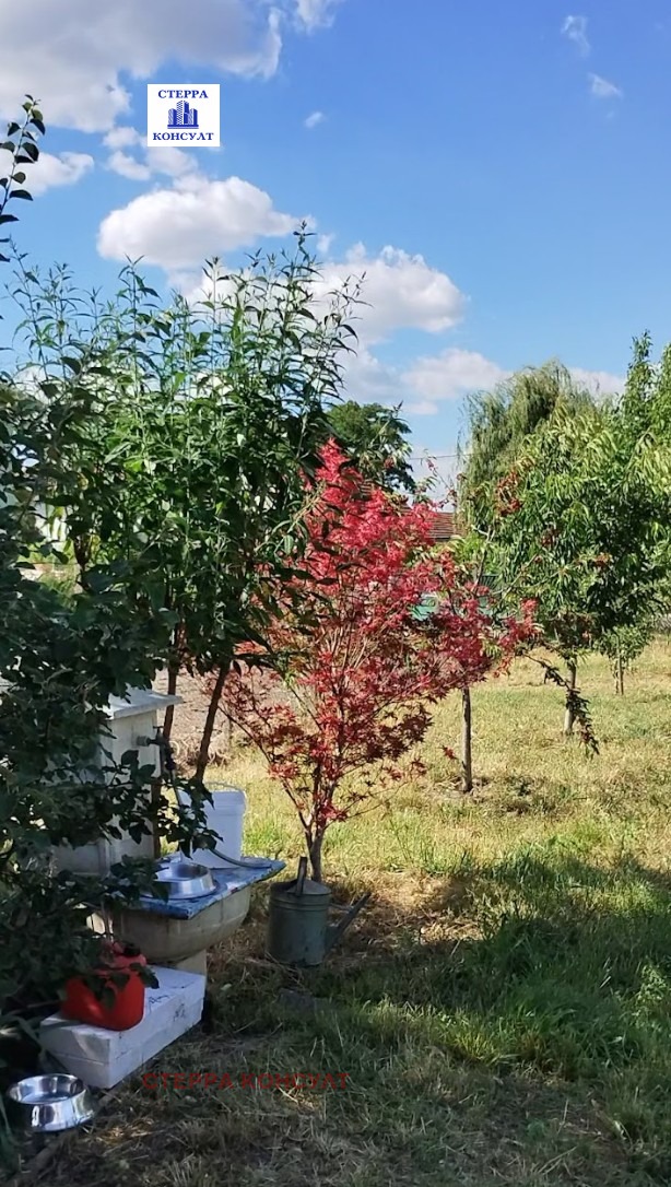 Продава ПАРЦЕЛ, гр. Козлодуй, област Враца, снимка 9 - Парцели - 54945887