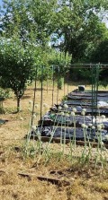 Продава ПАРЦЕЛ, гр. Козлодуй, област Враца, снимка 5