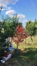 Продава ПАРЦЕЛ, гр. Козлодуй, област Враца, снимка 9