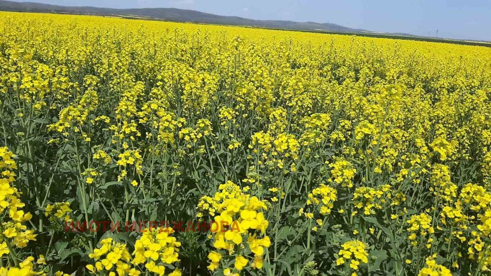 ������� ���������� ���� | Imot.bg � ����������� 2