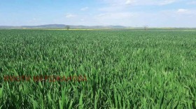 ������� ���������� ���� | Imot.bg � ����� ������ 3