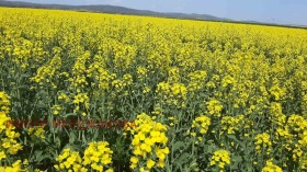 ������� ���������� ���� | Imot.bg � ����� ������ 2