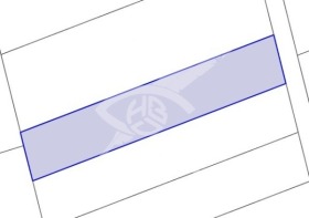 ������ ������� ������