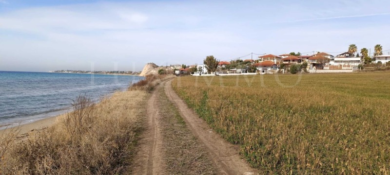 Продава ПАРЦЕЛ в Гърция, Халкидики - 15537 кв.м / 2 100 000 € » 4 107 243.00 лв., ЛУКСИММО ГЪРЦИЯ
