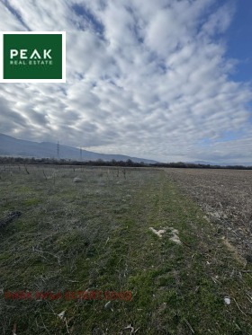 ������ ������� ������