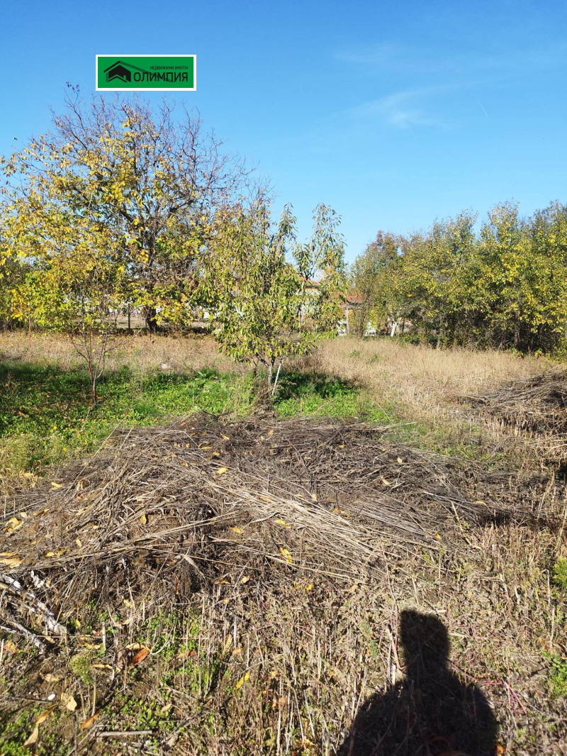 Продава КЪЩА, с. Пудрия, област Враца, снимка 5 - Къщи - 52570599