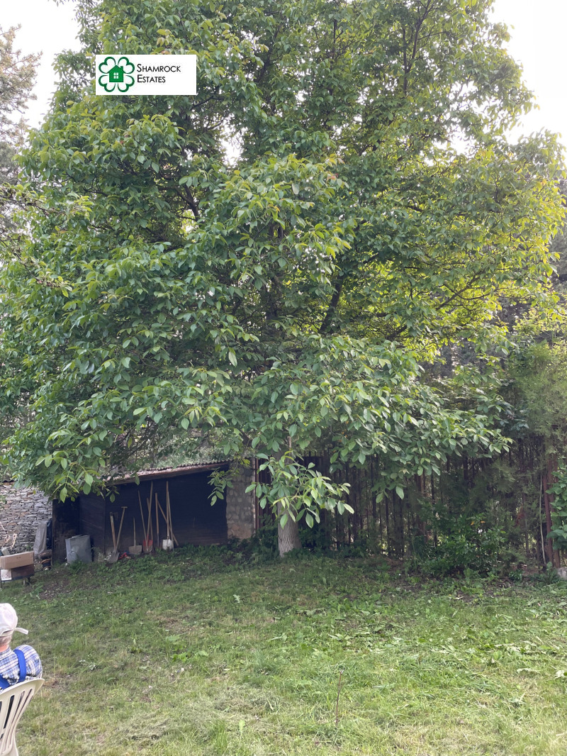 Продава КЪЩА, гр. София, с. Локорско, снимка 8 - Къщи - 53043060