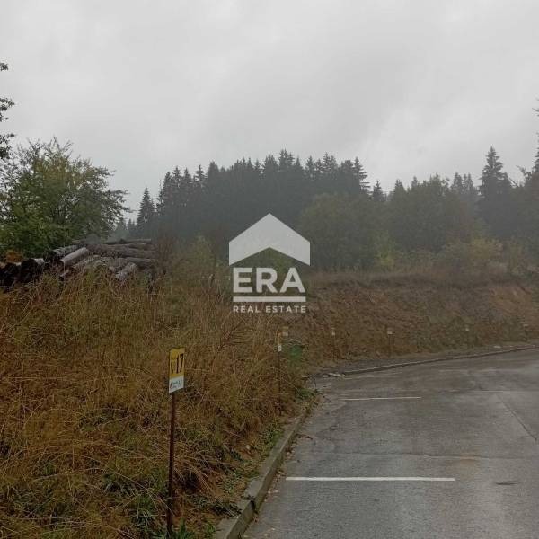 Продава  Парцел област Смолян , гр. Чепеларе , 4127 кв.м | 27290757 - изображение [4]