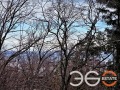 Продава 2-СТАЕН, град Варна, к.к. Златни пясъци • 109000 € • 84778922 13