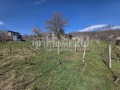 Продава КЪЩА, град Варна, м-т Планова • 67000 € • 26045787 — Holmes.bg
