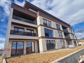 ����� ������� ����������,���� �����������, ���������