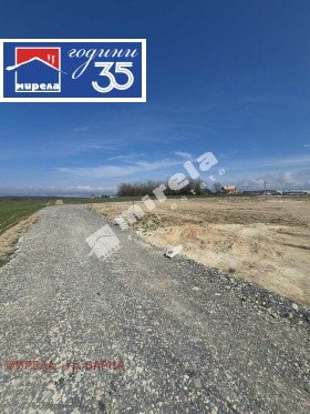 ����� ������� ������,���� �����, �. ��������