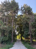 Продава  Парцел град София , Връбница 1 , 827 кв.м | 47479529 - изображение [8]