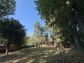 Продава  Парцел град София , Връбница 1 , 827 кв.м | 47479529 - изображение [4]