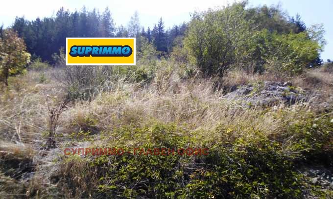 ������� ������ | Imot.bg � ����������� 11