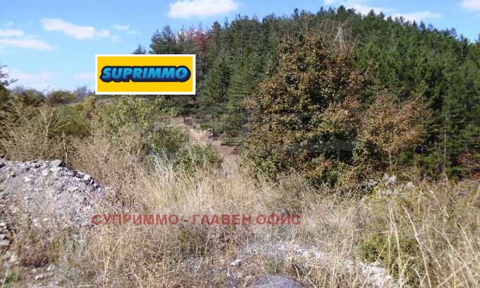 ������� ������ | Imot.bg � ����������� 13