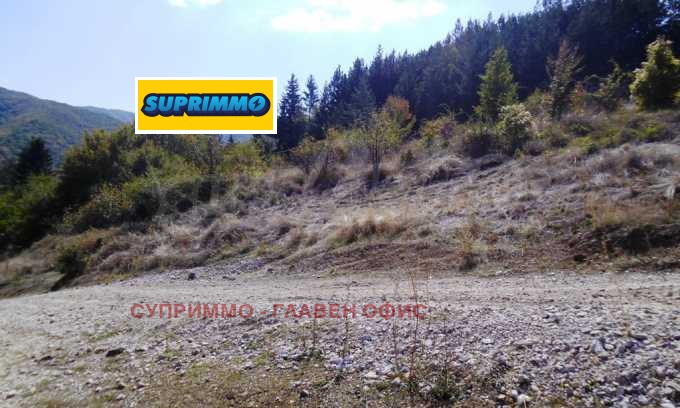 ������� ������ | Imot.bg � ����������� 10
