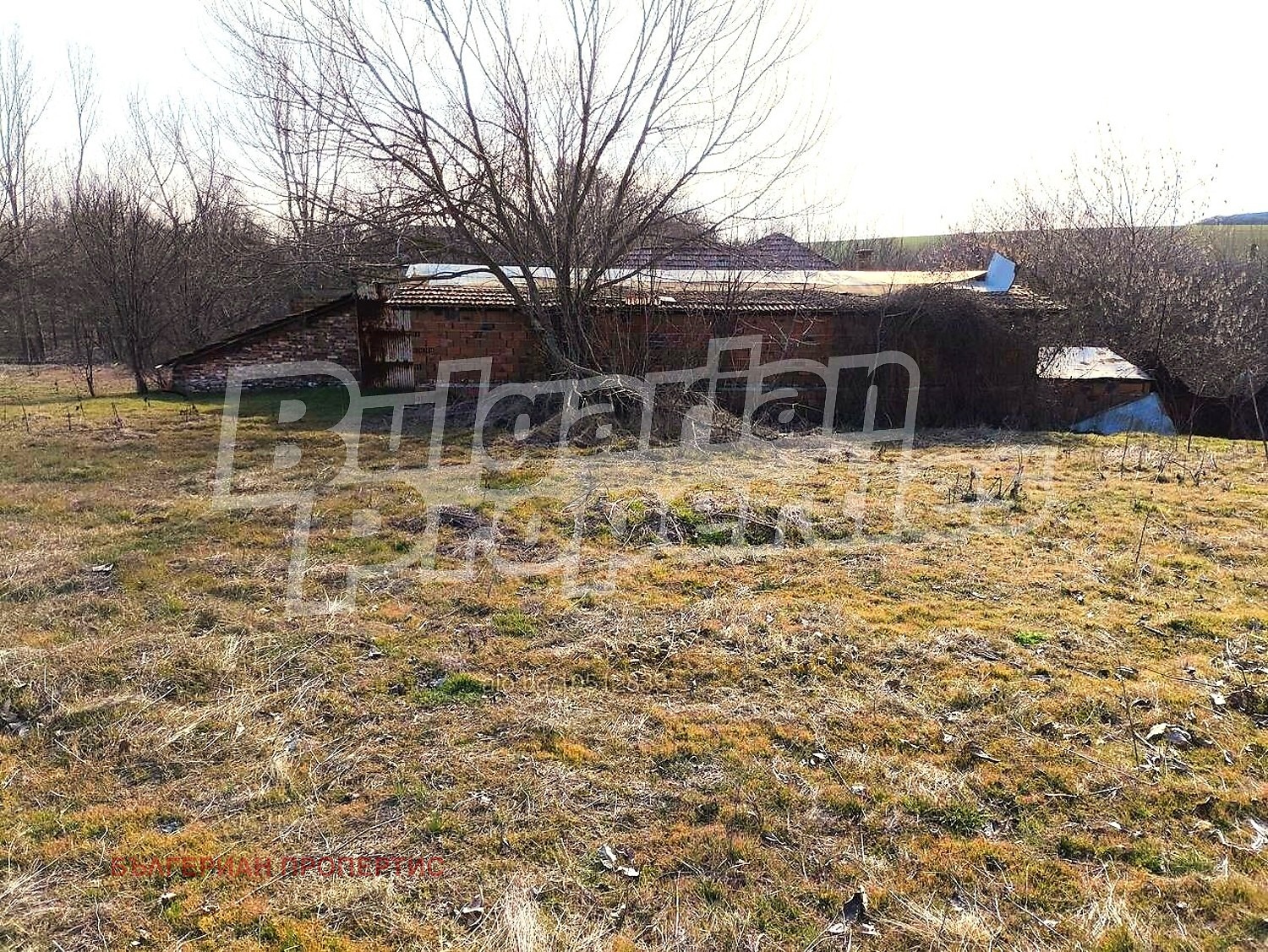 ������� ������ | Imot.bg � ����������� 1