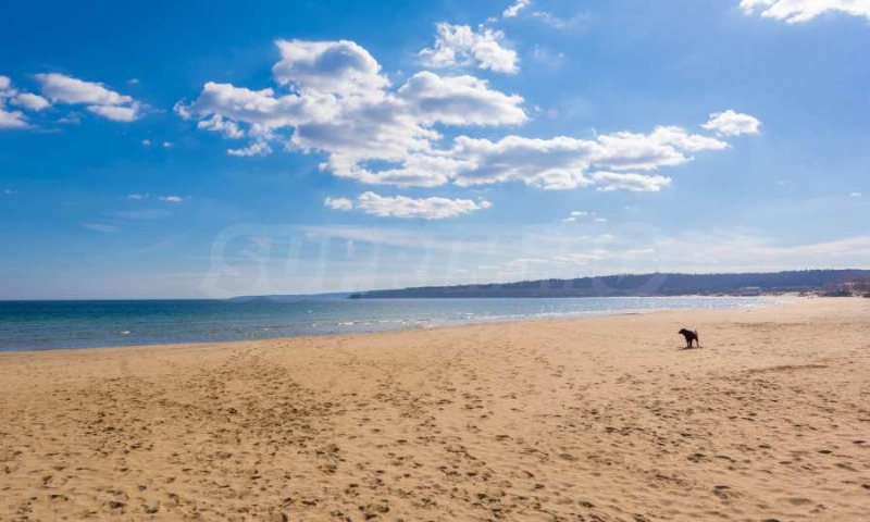In vendita  Studio regione Burgas , Sozopol , 35 mq | 33875968 - Immagine [16]