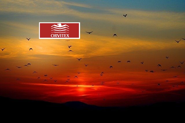 Продава  Парцел, град София, с. Подгумер • 9 500 000 EUR • ID 51882472 — holmes.bg - [1] 