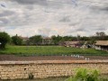 Продава ПАРЦЕЛ, област Варна, с. Калоян • 13000 € • 61354740 — Holmes.bg