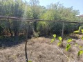 Продава ПАРЦЕЛ, област Ловеч, с. Карлуково • по договаряне • 17283050 — Holmes.bg