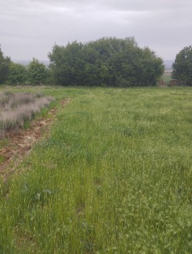 Handlung Petartsch, region Sofia
