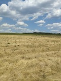 Продава ПАРЦЕЛ, област София, с. Петърч • 23000 лв. • 24675128 — Holmes.bg