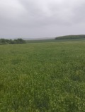 Продава ПАРЦЕЛ, област София, с. Петърч • 23000 лв. • 24675128 — Holmes.bg