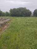 Продава ПАРЦЕЛ, област София, с. Петърч • 23000 лв. • 24675128 — Holmes.bg