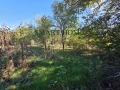 Продава ПАРЦЕЛ, област Велико Търново, с. Козаревец • 17000 € • 37057358 2