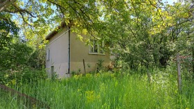 Hus Varba, region Vidin 4