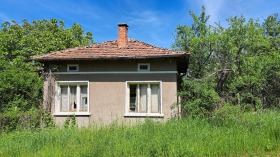 Hus Varba, region Vidin 2