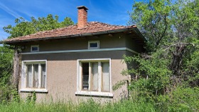 Hus Varba, region Vidin 3
